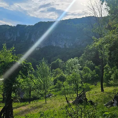 Planinska Oaza Bisina - Savrsen Planinski Odmor * Petrovici (Sekovici)